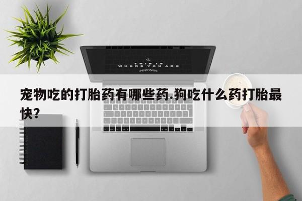怀孕大月份能不能用米非司酮宠物吃的打胎药有哪些药.狗吃什么药打胎最快？