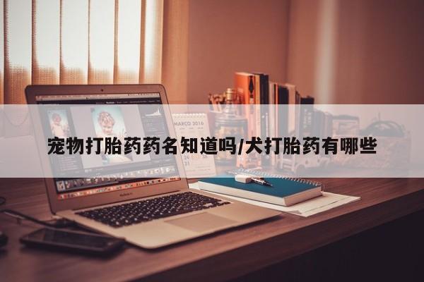 怀孕大月份能不能用米非司酮宠物打胎药药名知道吗/犬打胎药有哪些
