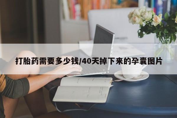 怀孕大月份能不能用米非司酮打胎药需要多少钱/40天掉下来的孕囊图片